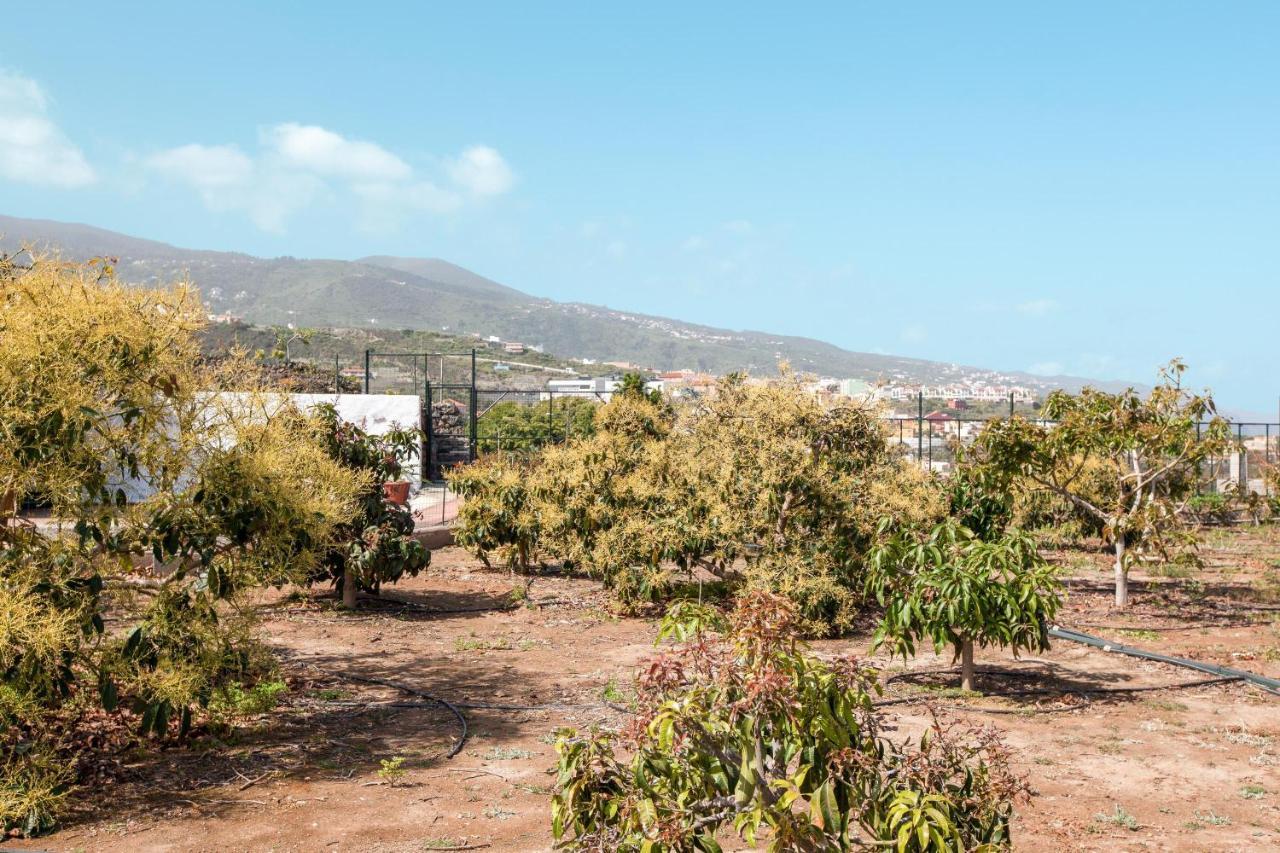Casa Quemahierro 1 Villa Icod De Los Vinos Luaran gambar